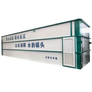 China 3000L/Hour Productivity Aquaculture Sewage Purification MBR Integrated Equipment Design on sale