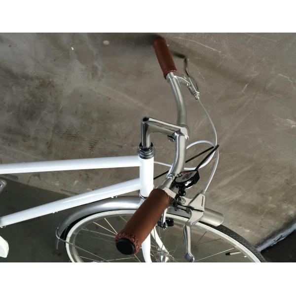 Vintage CR-MO Steel 4130 Lady Women Girl Inner 3 Speeds City Bike for Europe Market