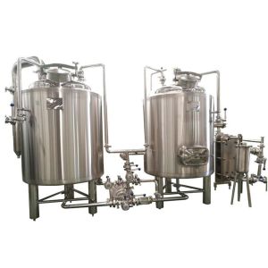 Custom Design Small Brewery Equipment With Electric / Steam / Direct Fired
