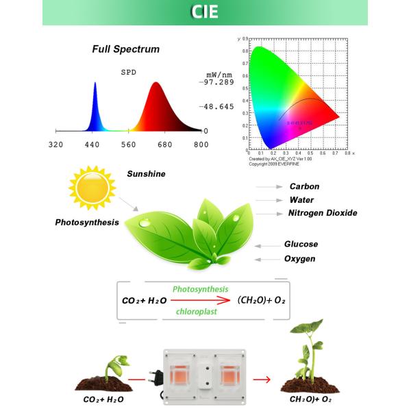AC 120V Full Spectrum Grow Lights Switch Control For Greenhouse Horticultural Plants