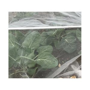 Insect-Proof Net, Crops Protection Net Against Insects And Pests