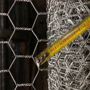 Hot Dipped Galvanized Hexagonal Wire Netting Chickenwire