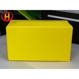 Polypropylene Plastic Packaging Boxes Hollow Structure
