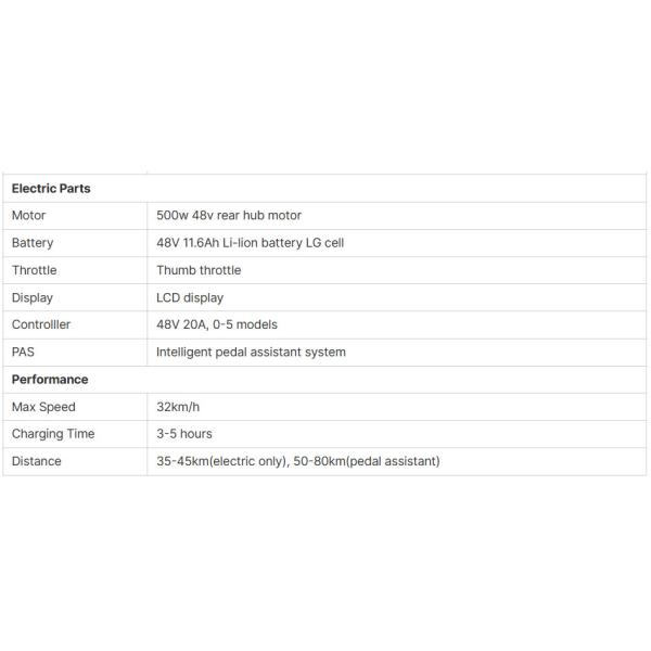 Wholesale 26-inch 500W 48V Beach Snow Electric Bikes