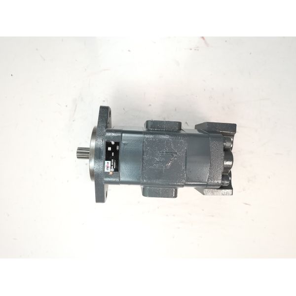 One-Year Warranty Hydraulic Gear Pump 14561971 R High Quality Double Pump Used in Construction Equipment for Komatsu Kawasaki