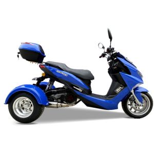 Riverbed Forest Road 4 Stroke Gas 50cc Trike Scooter
