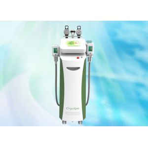 2014 hot five handles Best Vertical cryolipolysis & laser machine