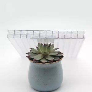 Transparent Policarbonato Polycarbonate Multiwall Roofing Sheet 25mm For