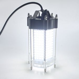 LED 5050 40W SS316 Submersible Fishing Lights