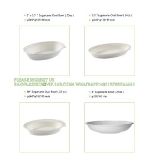 Biodegradable Disposable Compostable Sugarcane Bagasse Food Container Paper Pulp
