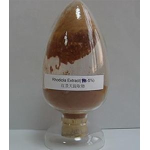 Rhodiola Rosea Extract Salidroside powder Rosavin powder--Rhodiola rosea L