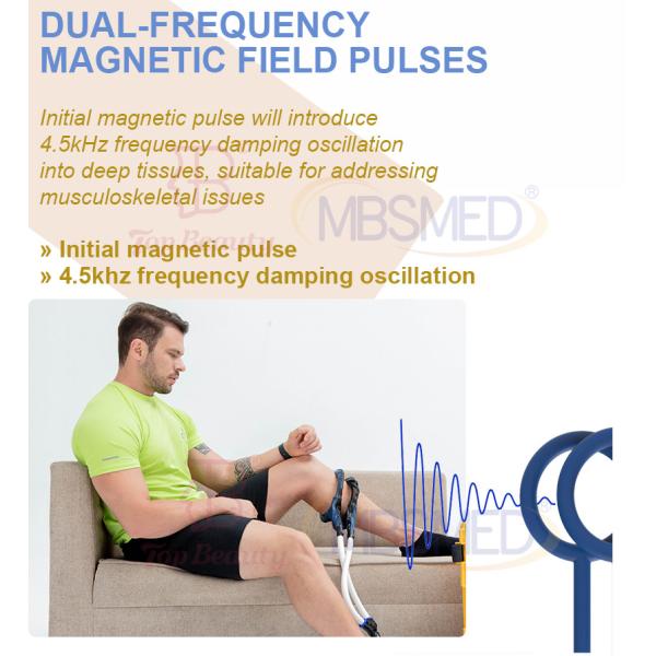 Pmst Double Loop For Human Physical Therapy Physio PEMF Magnetic Therapy Device Machine For Frozen Shoulder Pain Relief