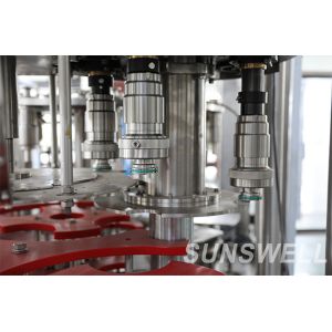 Best Price Automatic Rinsing Filling and Capping Machine Price 5L Water Filling