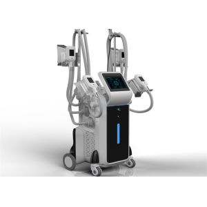 Cryolipolysi Cool Shape Machine Fat Loss Cryolipolysis Fat Freezing Machine