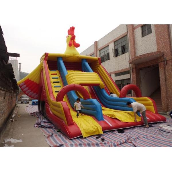 Buy Big Commercial Inflatable Slide , Cock Inflatable Double Slip And Slide at wholesale prices