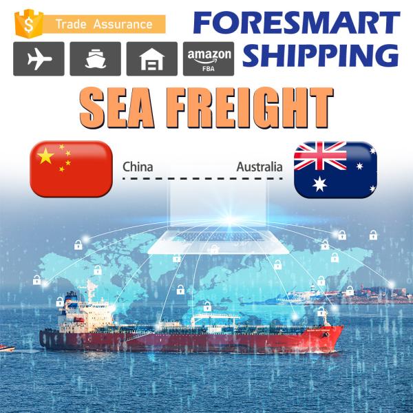 Buy China To Australia Oceania Shipping , DDP Sea Shipping at wholesale prices