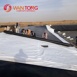 Black HDPE Geomembrane for Fish Dam Pond Liner in Chinese Design Style and 0.1
