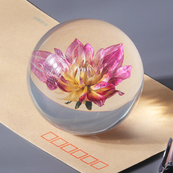 Fashion Crystal Ball Paperweight , Resin Dandelion Paperweight