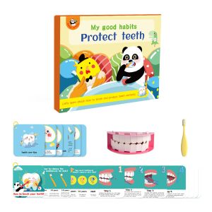 Tooth Brushing Montessori Homeschool Educational Toys For Toddlers