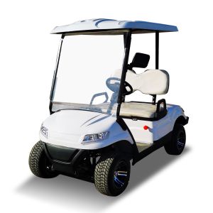 Customized Blue Electric LSV Lithium Ion Golf Cart 2 Passenger