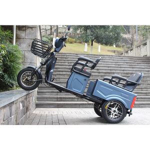 2 Passengers 60V 20Ah 3 Wheel Sit Down Scooter