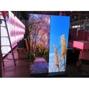 Commercial Advertising LED Poster For Shopping Mall Exhibition Centre Restaurant