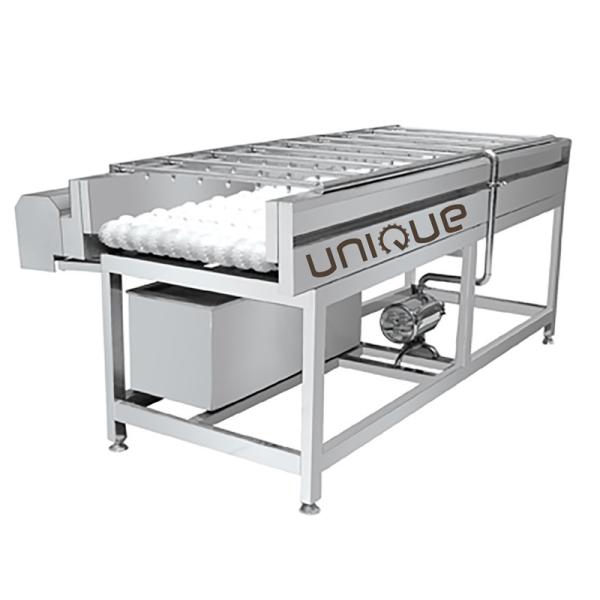 Continuous Vegetable and Fruit Spiral Brush Roller Washer with Cleaning