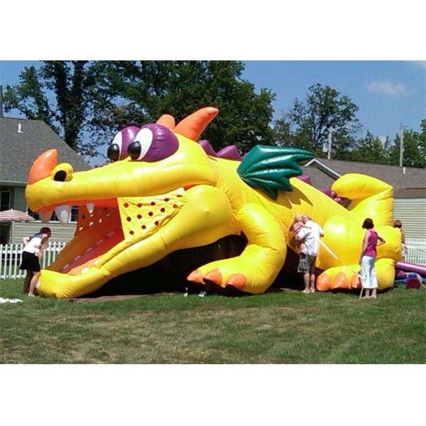 Durable Outdoor Commercial Inflatable Slide, Cheap Inflatable Crocodile Slide For Playing