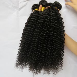 Unprocessed Human Virgin Hair Afro Kinky Curly Pure Brazilian Hair Bundles