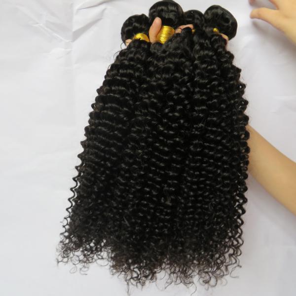 Unprocessed Human Virgin Hair Afro Kinky Curly Pure Brazilian Hair Bundles