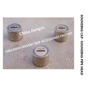 Stainless Steel 316L Elevated Sounding Pipe Head For Marine Ballast Tank Model: