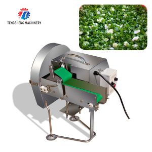 China SS304 Vegetable Processing Machine Mini Electric Tabletop Onion Slicer Food Processor on sale