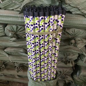 Pickaxe Taper Dome 2.2*110cm Flat Mop Stick