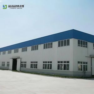 Light Metal Engineered Steel Buildings Large Span Free Design Drawing