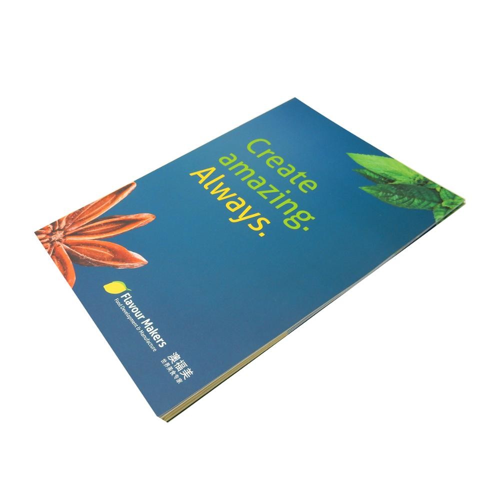 Custom printing brochure any kinds of paper folded booklet / leaflet