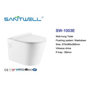 China Suppliers Hot Sale Chaozhou Ceramic Washdown Wall Mounted Wc Dual Flush Toilet One Piece Toilets