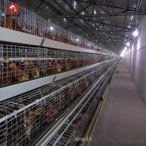 Quality SONCAP Poultry Broiler Chicken Cage Equipment Coop For Layer for sale