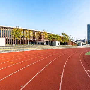 15mm Thickness Sandwich System Running Track Harmless Odorless