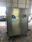 Large Capacity Vacuum Freeze Drying Machine , Freeze Drying Food Equipment