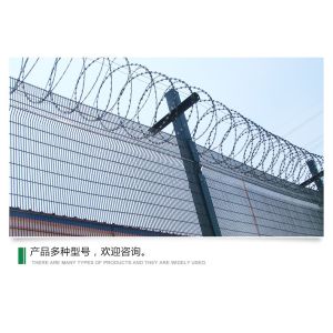 Customized Hot Dipped Galvanized Barbed Wire Fence with Stainless Steel Material
