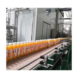 Fully Automatic Vegetable Complete Juice Processing Unit Stainless Steel