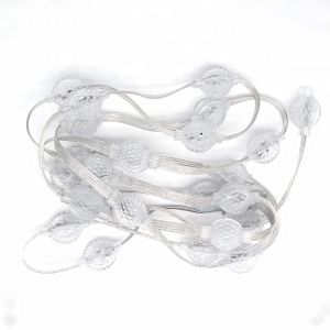 Dimmable Layout Pineapple 3D Pixel Led Lamp For Building Lighting