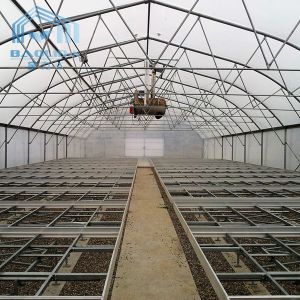 Farming Singlespan Tunnel Greenhouse With Irrigation And Hydroponic Growing