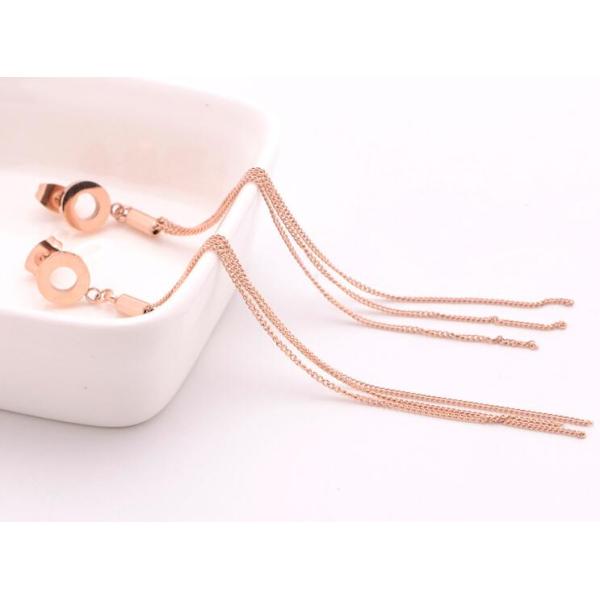 Rose Gold Stainless Steel Tassel Earrings Girs Fashion Jewelle Earring For Gifts