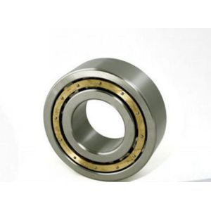 Anti Friction Mini Cylindrical Roller Bearing / ECPHA Nu 202 Bearing