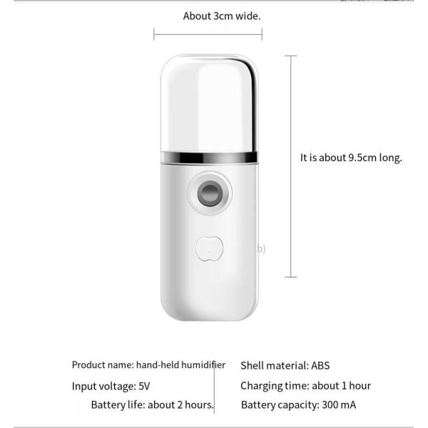 Portable Pocket Mist Steamer USB Rechargeable Nano Facial Mister Mini Face Sprayer