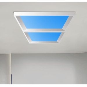 Topsung blue sky cloud commercial led panel light 2*2 FT 600*600mm Hall hospital