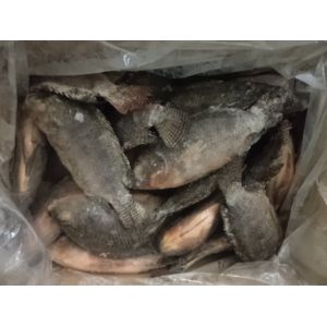 Tasty Delicious high quality tilapia Gutted and Scaled