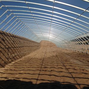 Single Layer Solar Greenhouse for Vegetable Growing Hydroponic System