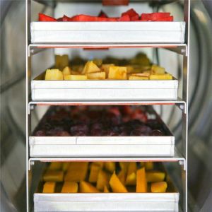 Homemade Vacuum Pump Freeze Dryer Lyophilization Machine 750w